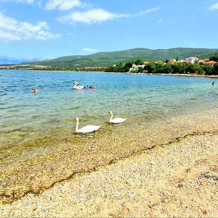 Babaloo * Gornji Karin