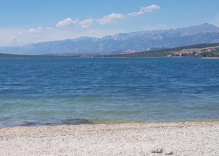 Babaloo * 고르니 카린