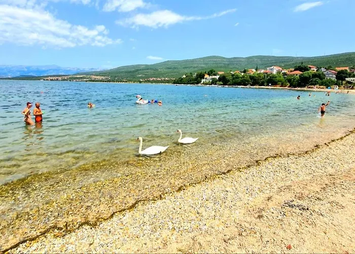 Babaloo * Gornji Karin